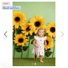 Load image into Gallery viewer, Farm Toddler Dress